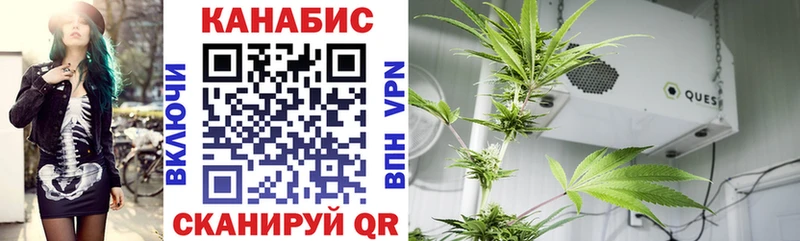 как найти закладки  Куса  Канабис гибрид 