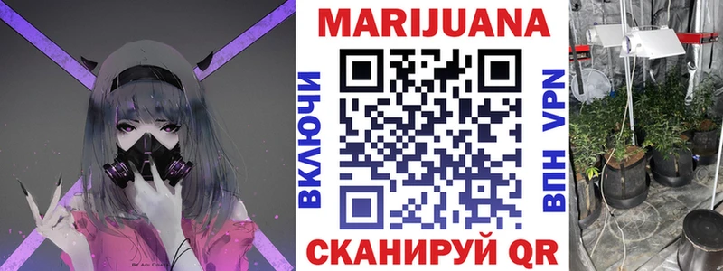 Шишки марихуана сатива Куса